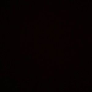 Meet your Posher, Cody